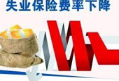 失业保险费率整体下调1个百分点 已降至2%